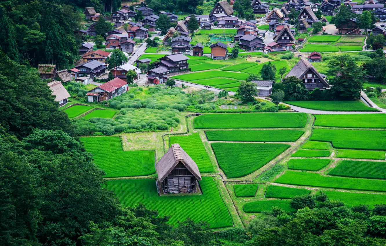 Photo wallpaper greens, field, trees, home, Japan, village, the view from the top, Nagoya