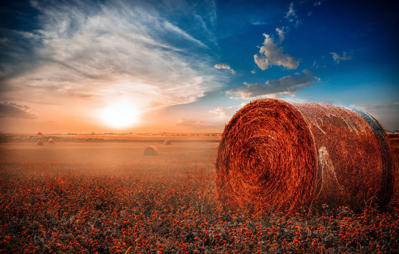 Photo wallpaper field, hay, rolls, Misty Morning