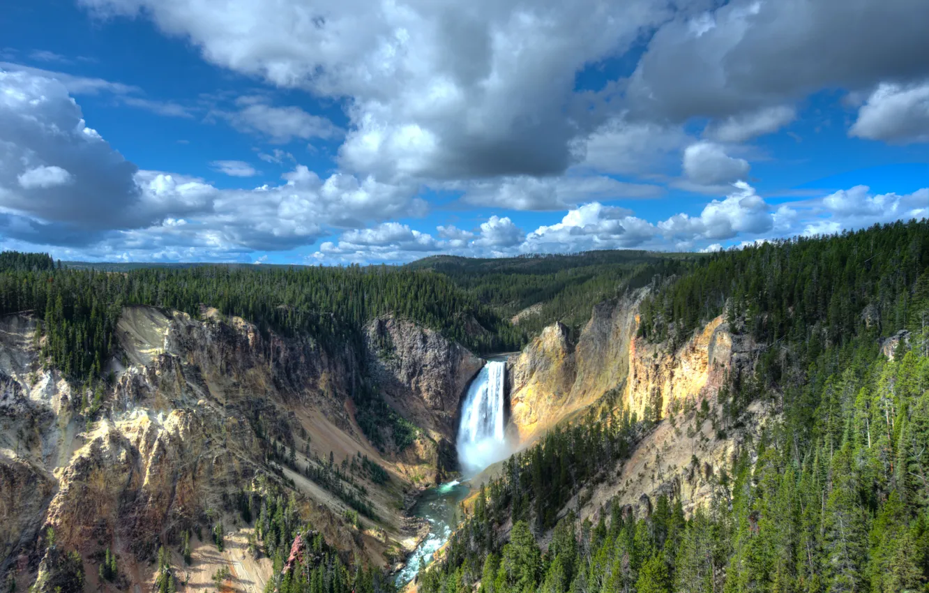 Photo wallpaper forest, landscape, nature, rocks, waterfall, canyon, Wyoming, national Park