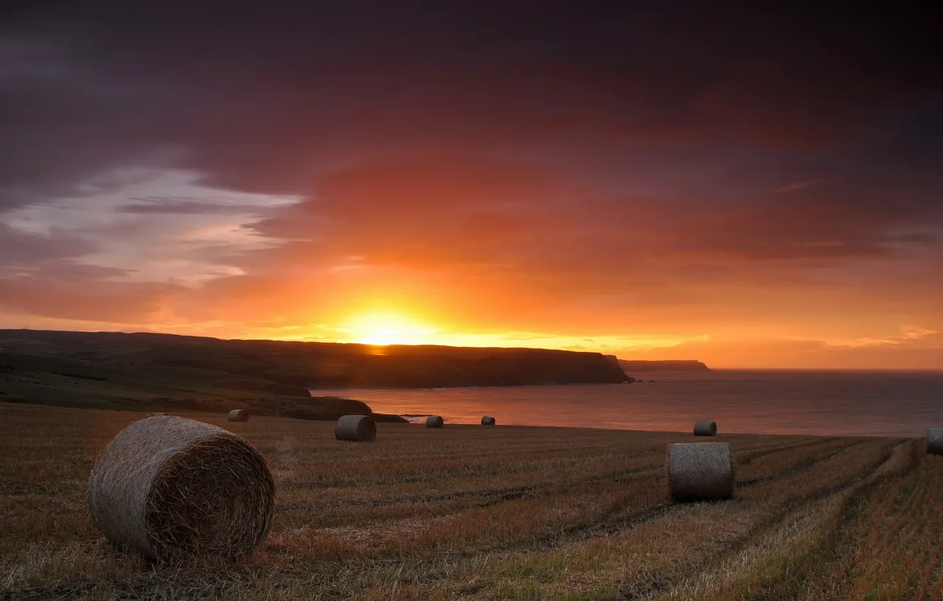 Photo wallpaper sea, field, the sky, the sun, sunset, rolls