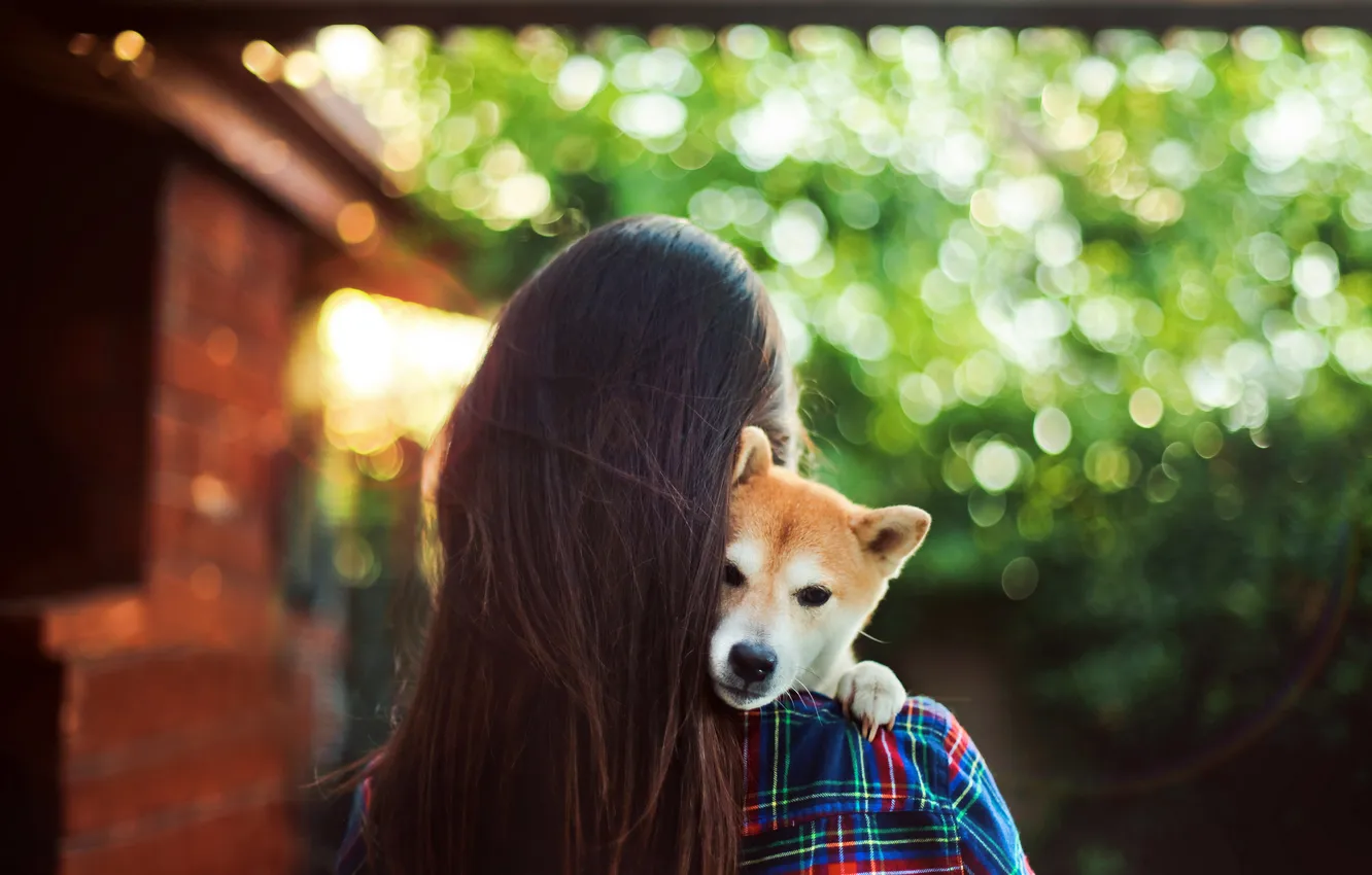 Photo wallpaper girl, mood, dog, brunette, bokeh