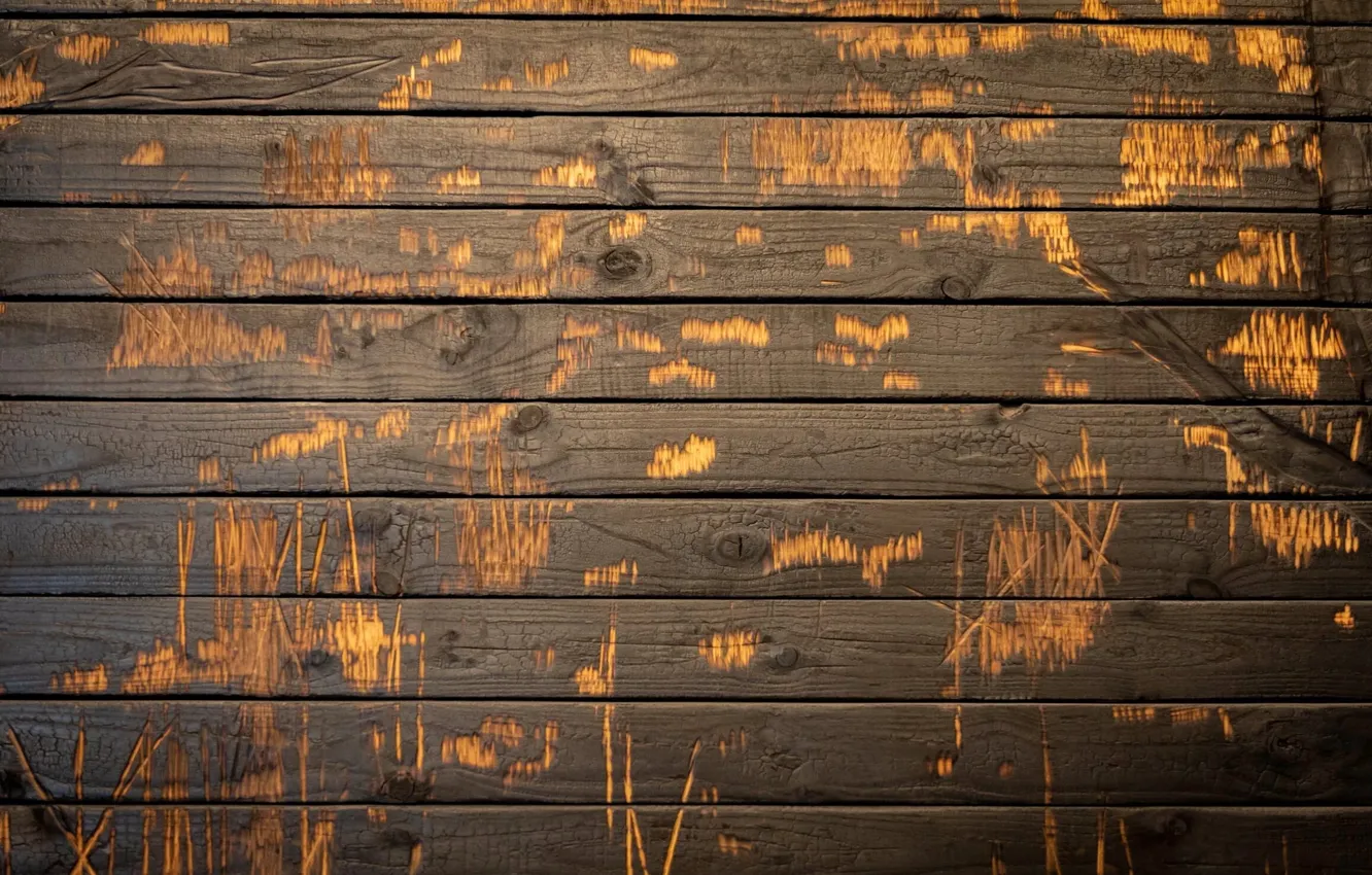 Photo wallpaper trees, Board, texture