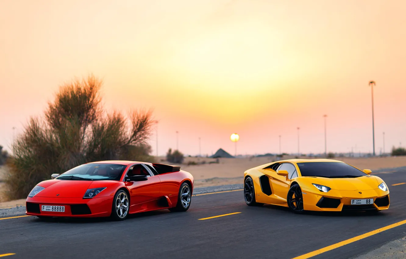 Photo wallpaper Lamborghini, Dubai, Aventador, Murciélago