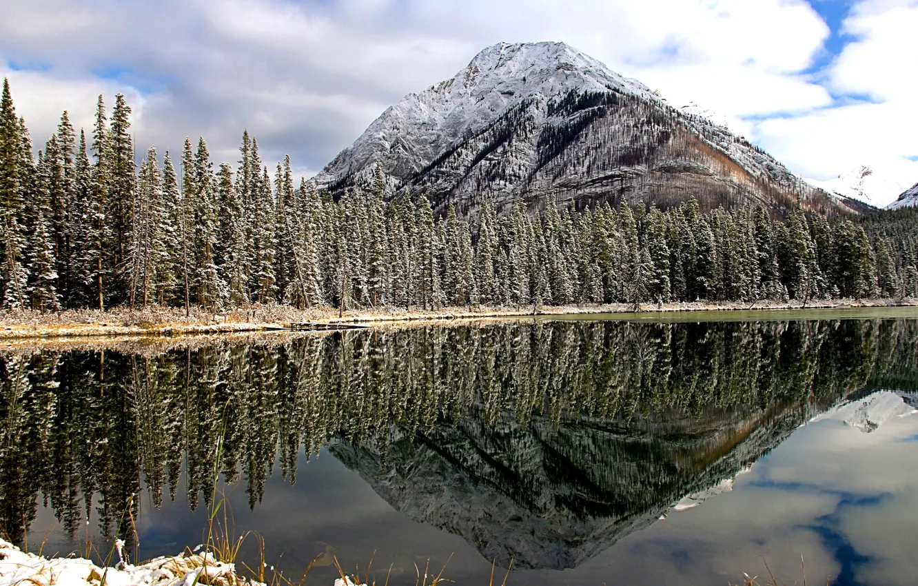 Photo wallpaper forest, snow, trees, mountains, nature, lake, reflection, tops