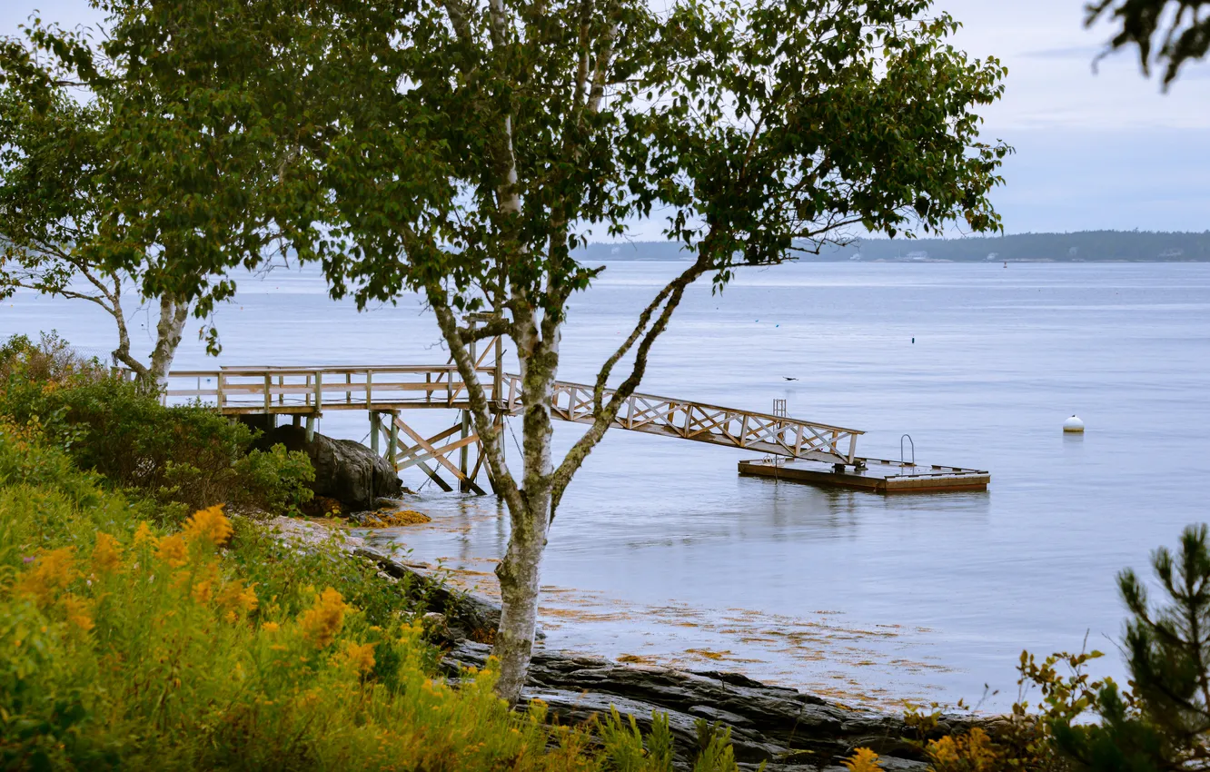 Photo wallpaper trees, river, the bridge, promenade