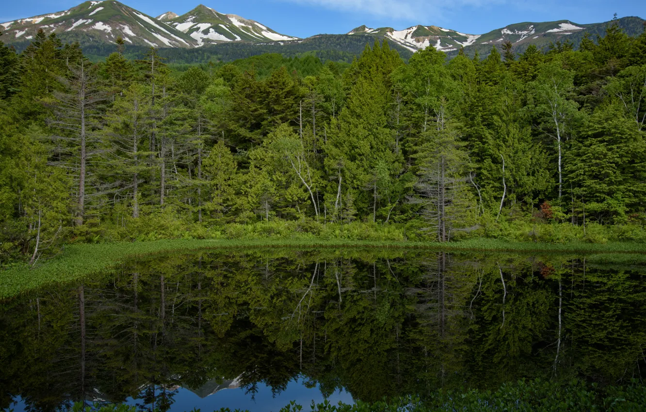 Photo wallpaper Nature, Reflection, Mountains, Lake, Forest, Shore, Landscape