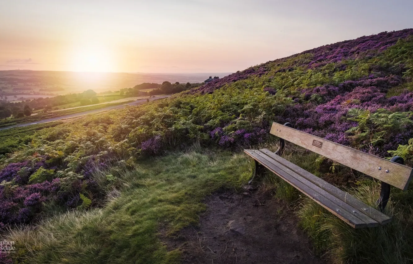 Photo wallpaper road, hills, field, morning, bench, Yorkshire, Sunrise on Ilkley Moor