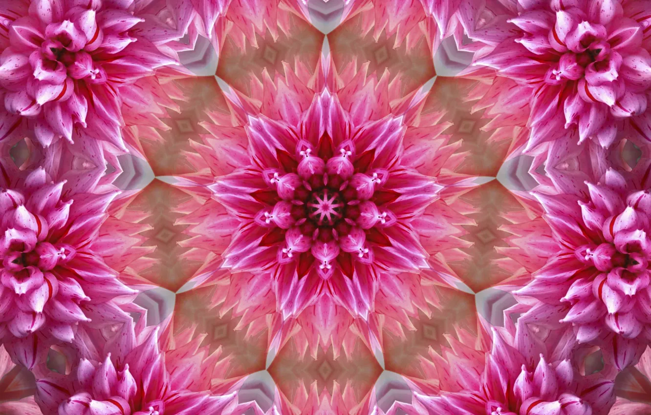 Photo wallpaper flowers, background, pattern, graphics, texture, digital art, symmetry, mandala