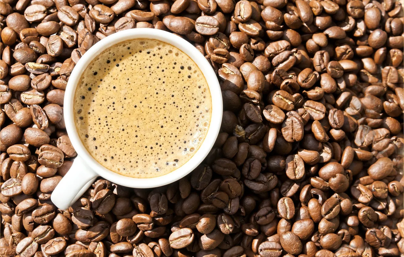 Photo wallpaper macro, coffee, grain, liquid, Cup, drink, foam