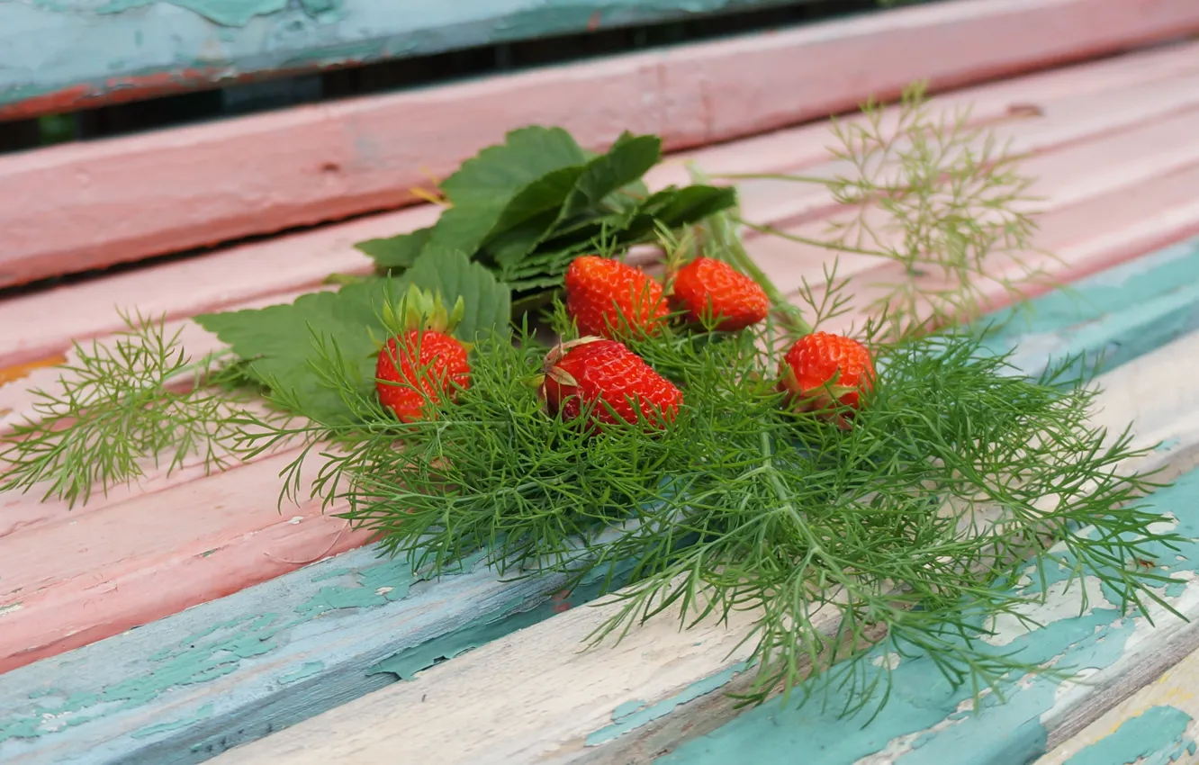 Photo wallpaper strawberry, dill, leaves of currant