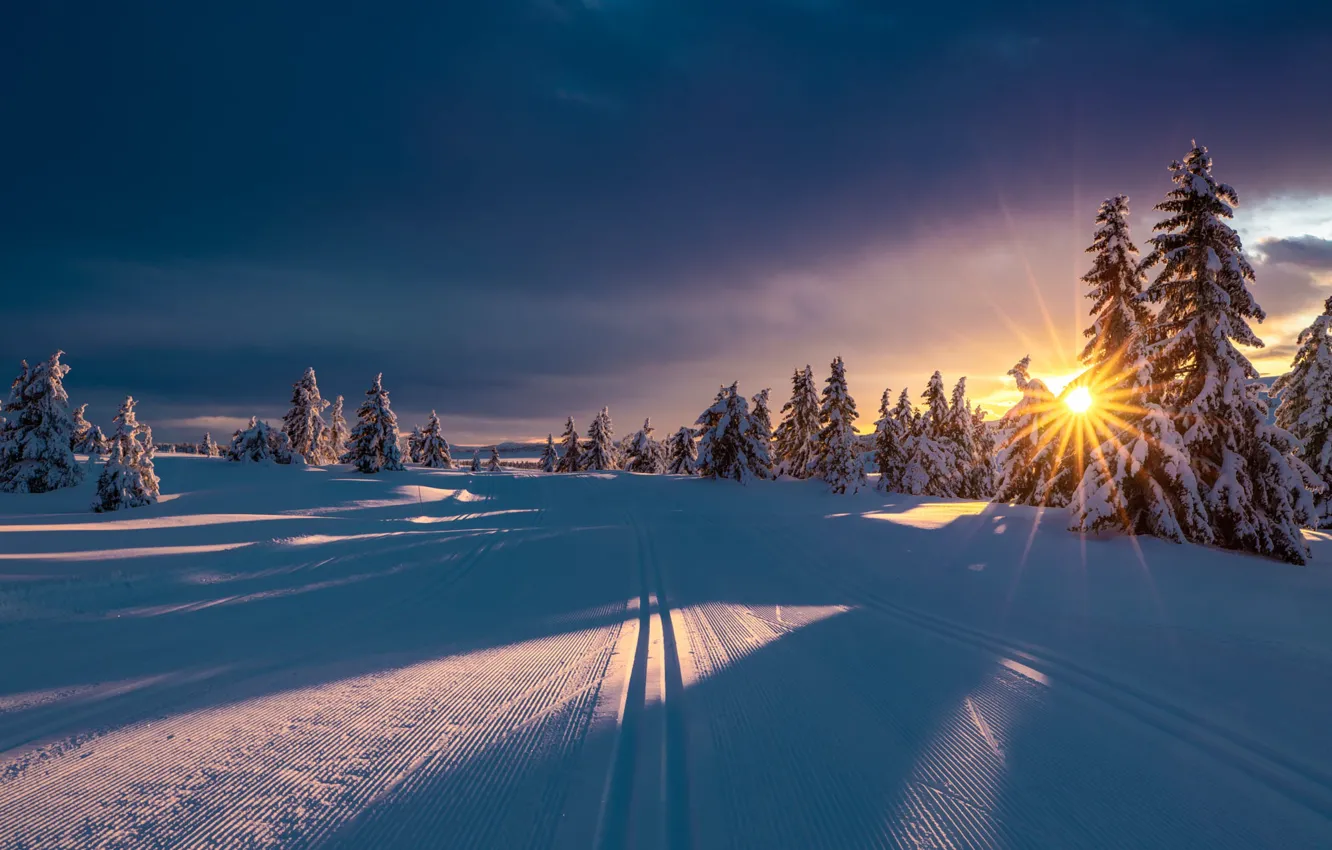 Photo wallpaper winter, road, the sun, rays, snow, trees, landscape, nature