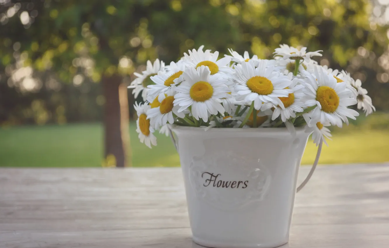 Photo wallpaper chamomile, bouquet, vase