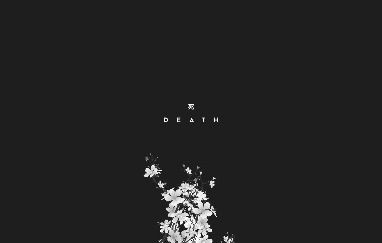 Photo wallpaper death, death, dead