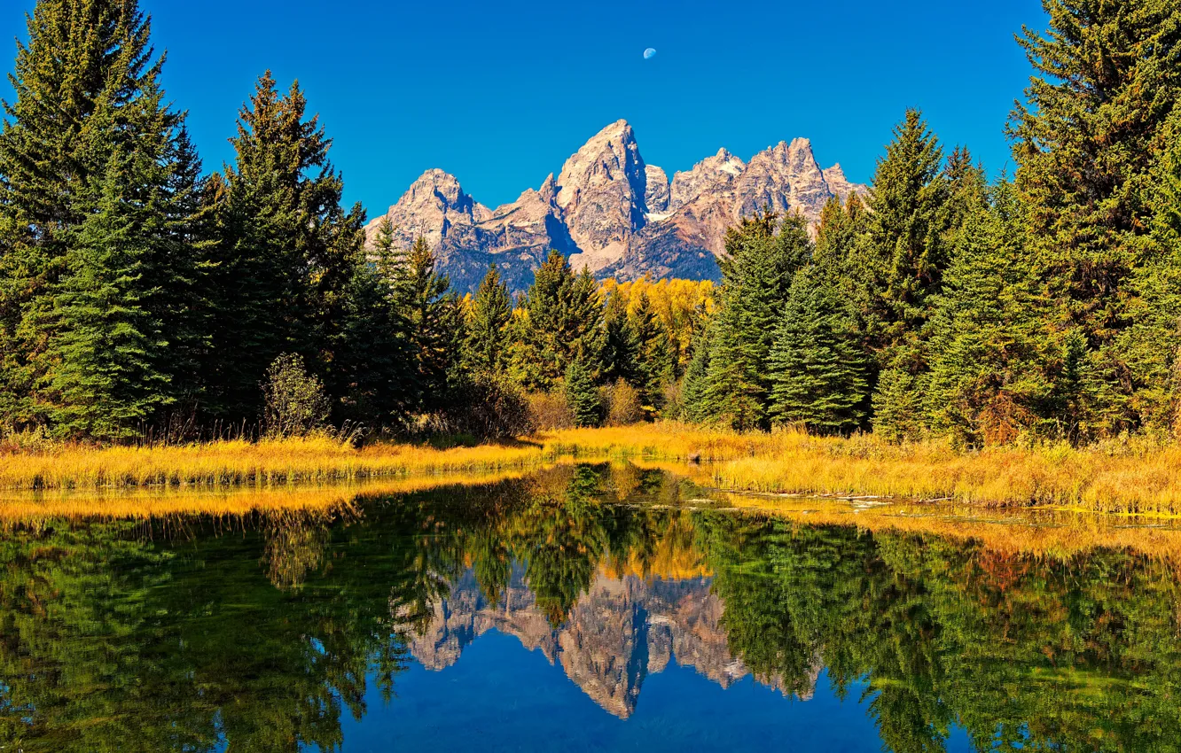 Photo wallpaper autumn, forest, mountains, reflection, river, ate, Wyoming, Wyoming