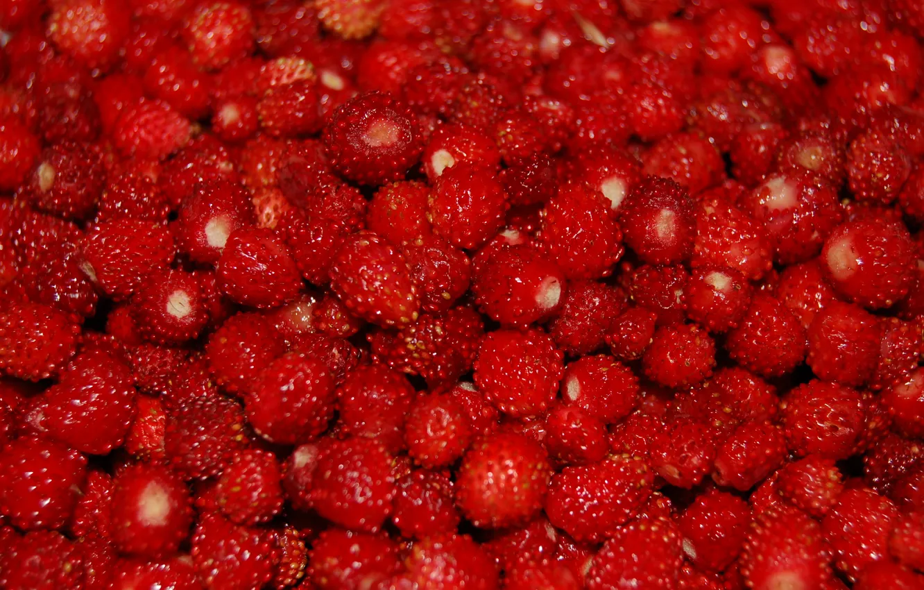 Photo wallpaper berries, strawberries, a lot