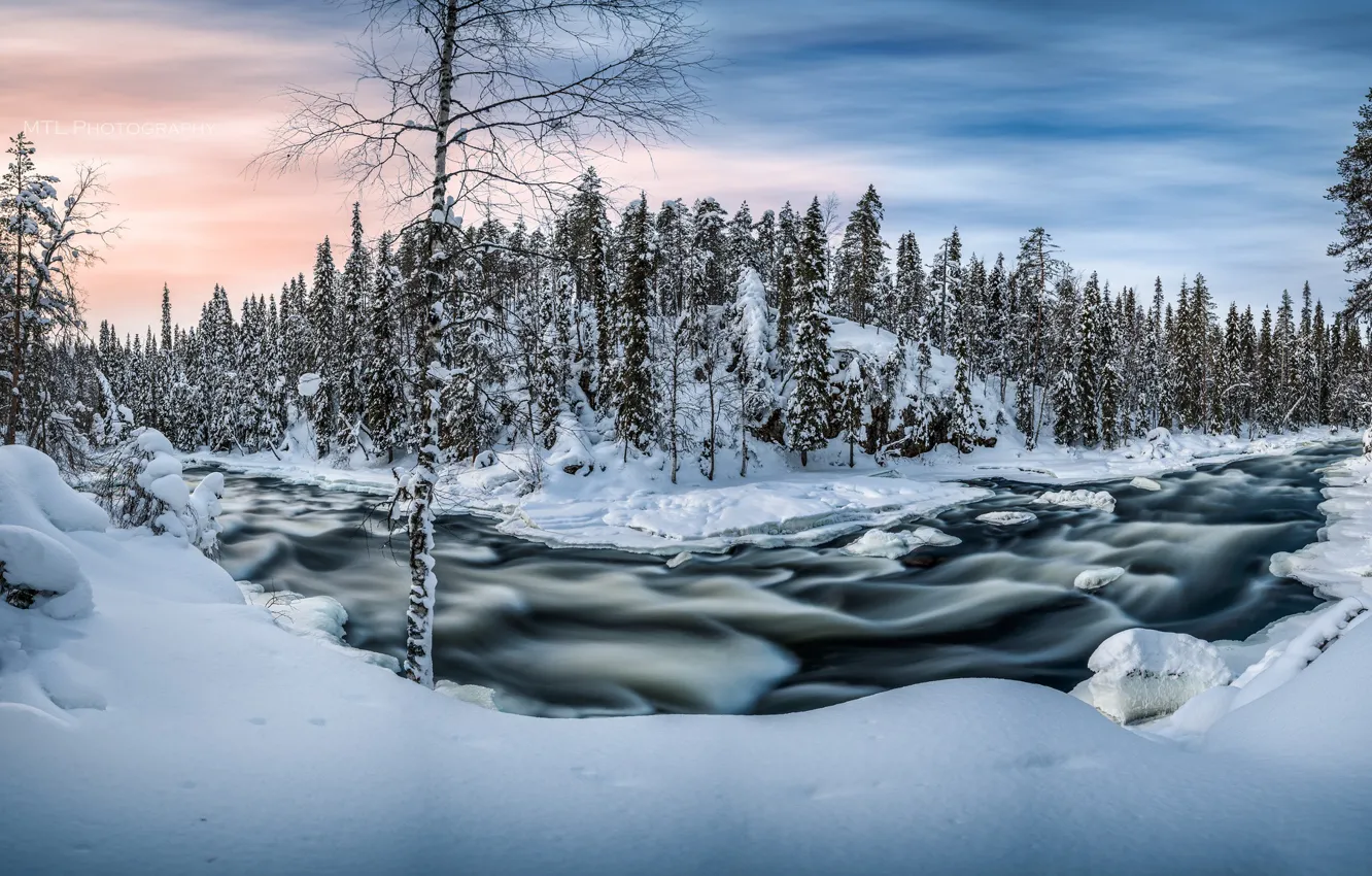 Photo wallpaper winter, forest, snow, river, morning
