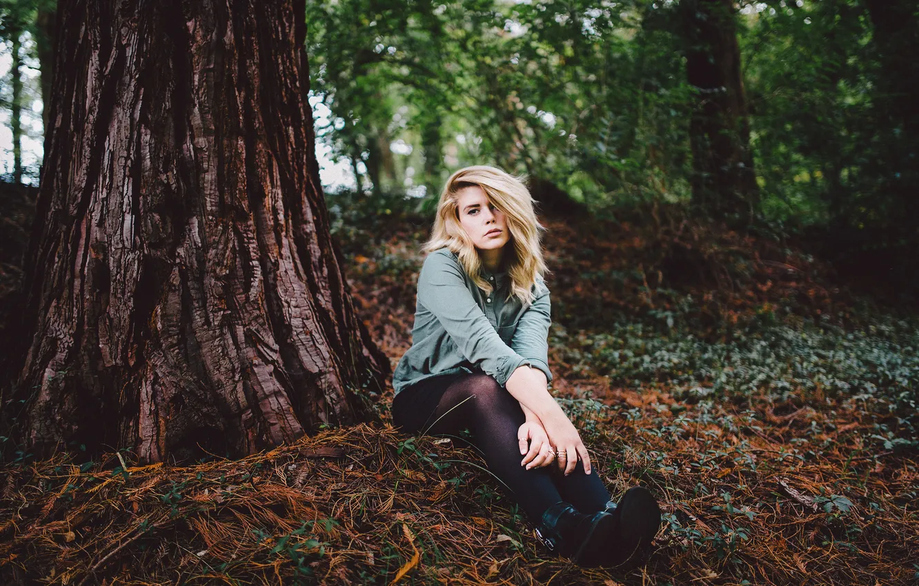 Photo wallpaper girl, trees, pose, blonde, sitting