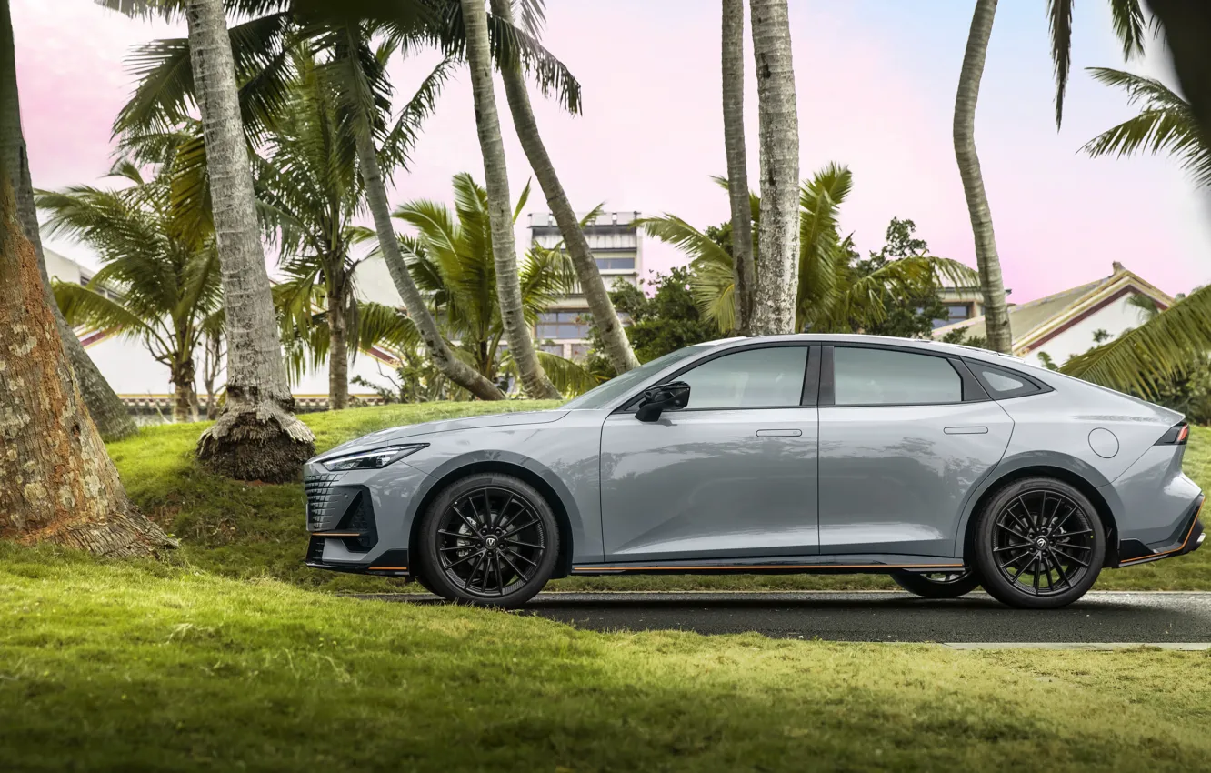 Photo wallpaper car, machine, auto, palm trees, background, Wallpaper, technique, cars