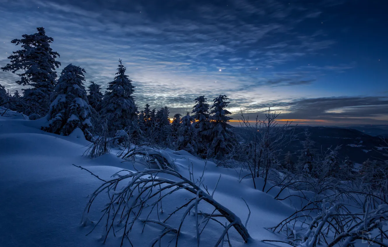 Photo wallpaper winter, the sky, snow, trees, landscape, mountains, branches, nature