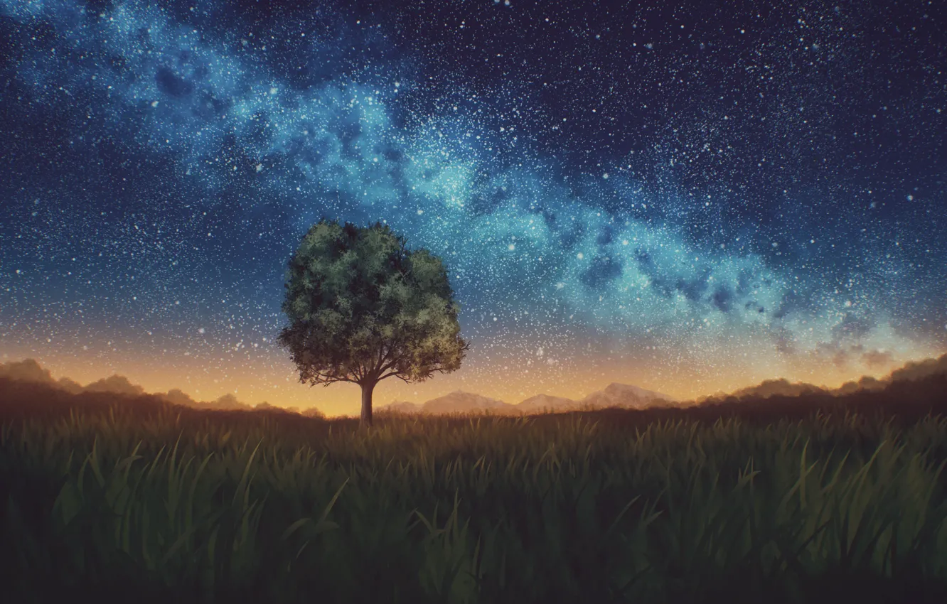 Photo wallpaper the sky, trees, night, nature, the milky way