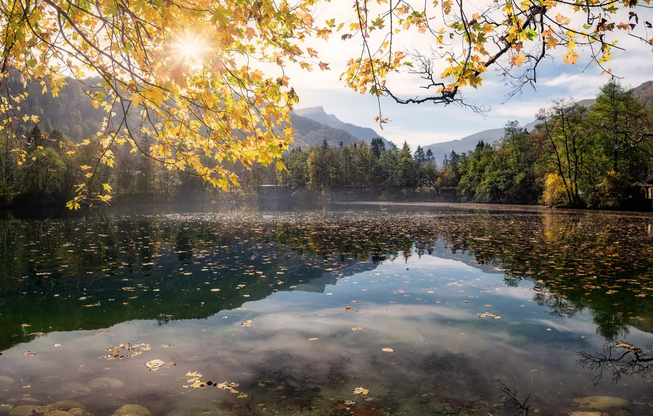 Photo wallpaper autumn, forest, the sun, rays, landscape, mountains, nature, lake