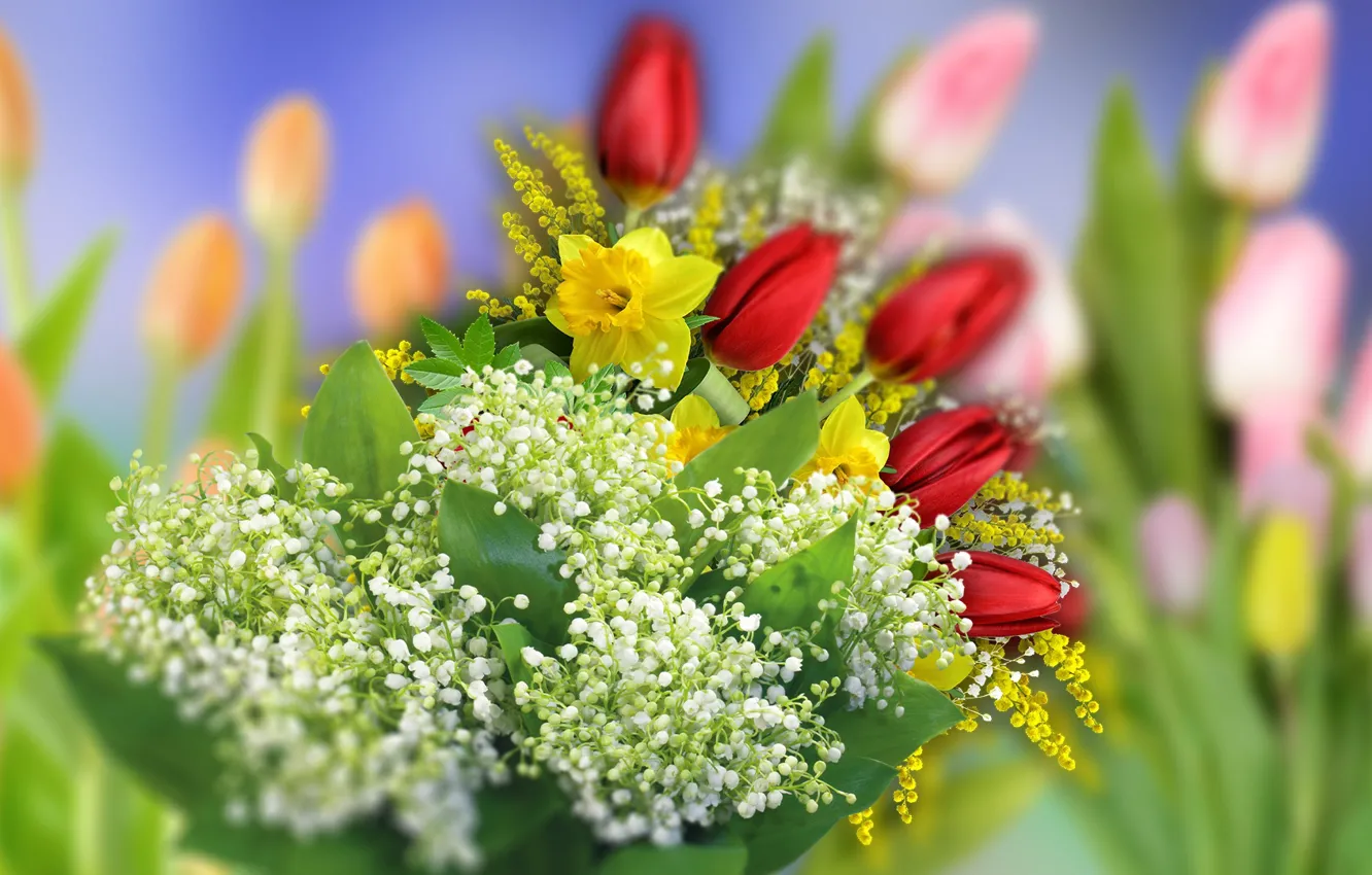 Photo wallpaper Graphics, Tulipany, Flowers, Daffodils