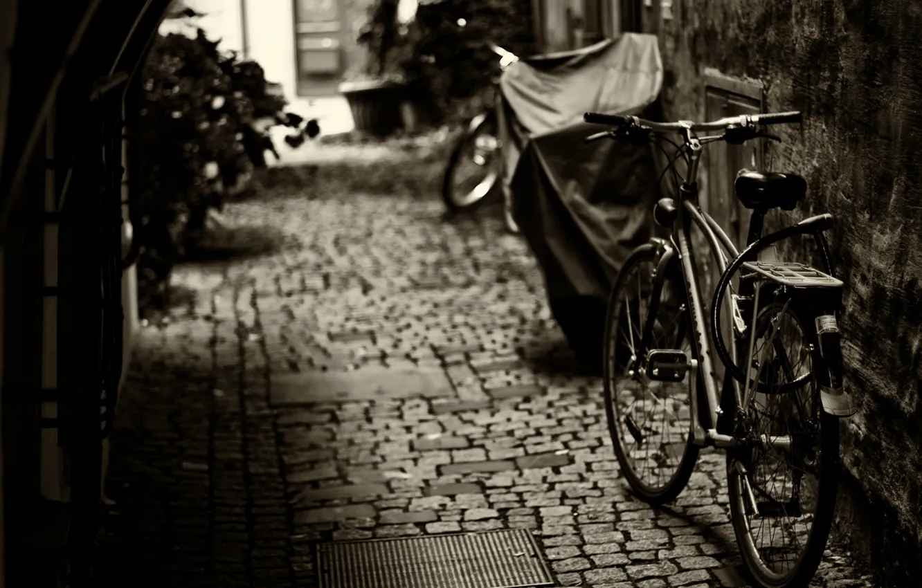 Photo wallpaper bike, background, widescreen, Wallpaper, mood, wheel, wallpaper, bicycle