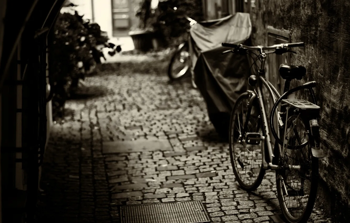 Photo wallpaper bike, background, mood, widescreen, Wallpaper, wheel, wallpaper, bicycle