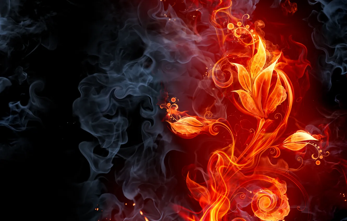 Photo wallpaper flower, fire, smoke