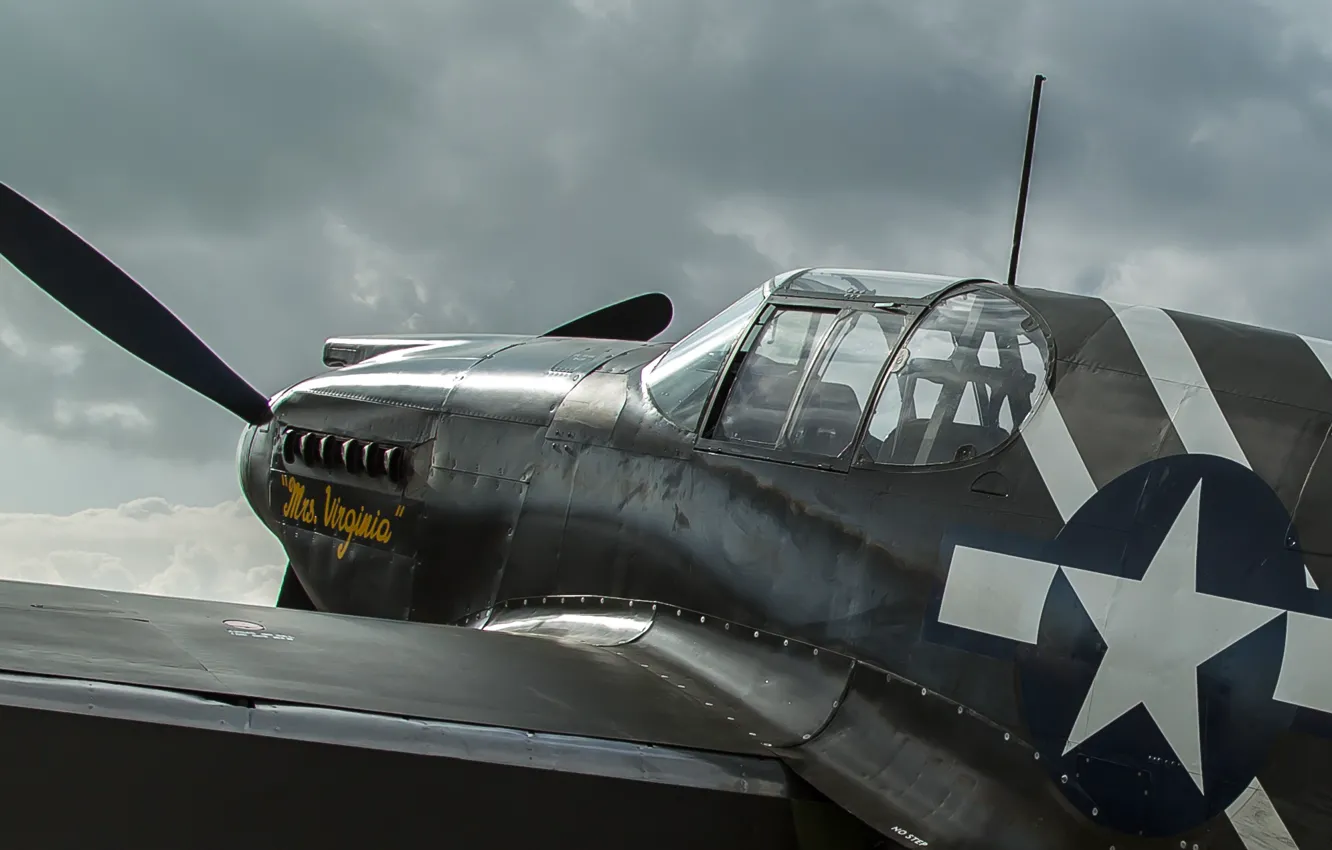 Photo wallpaper Mustang, fighter, long-range, P-51A