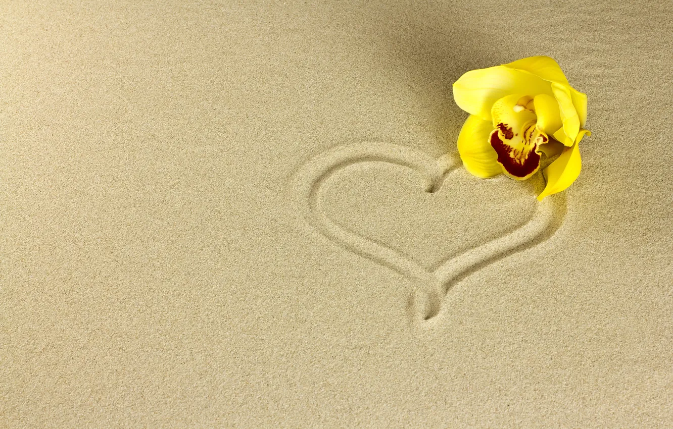Photo wallpaper sand, flower, heart, Orchid