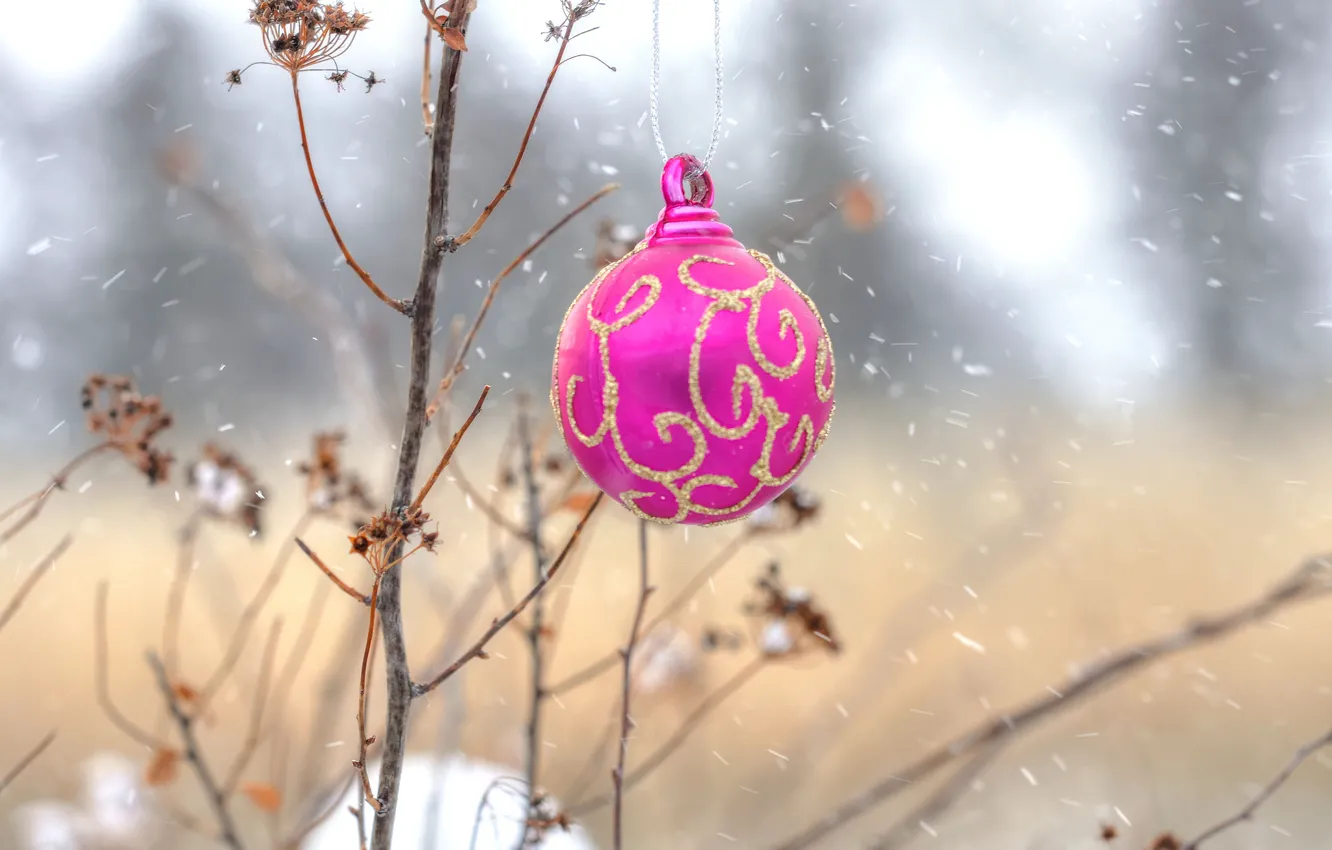 Photo wallpaper nature, new year, ball, Christmas, decoration, tree