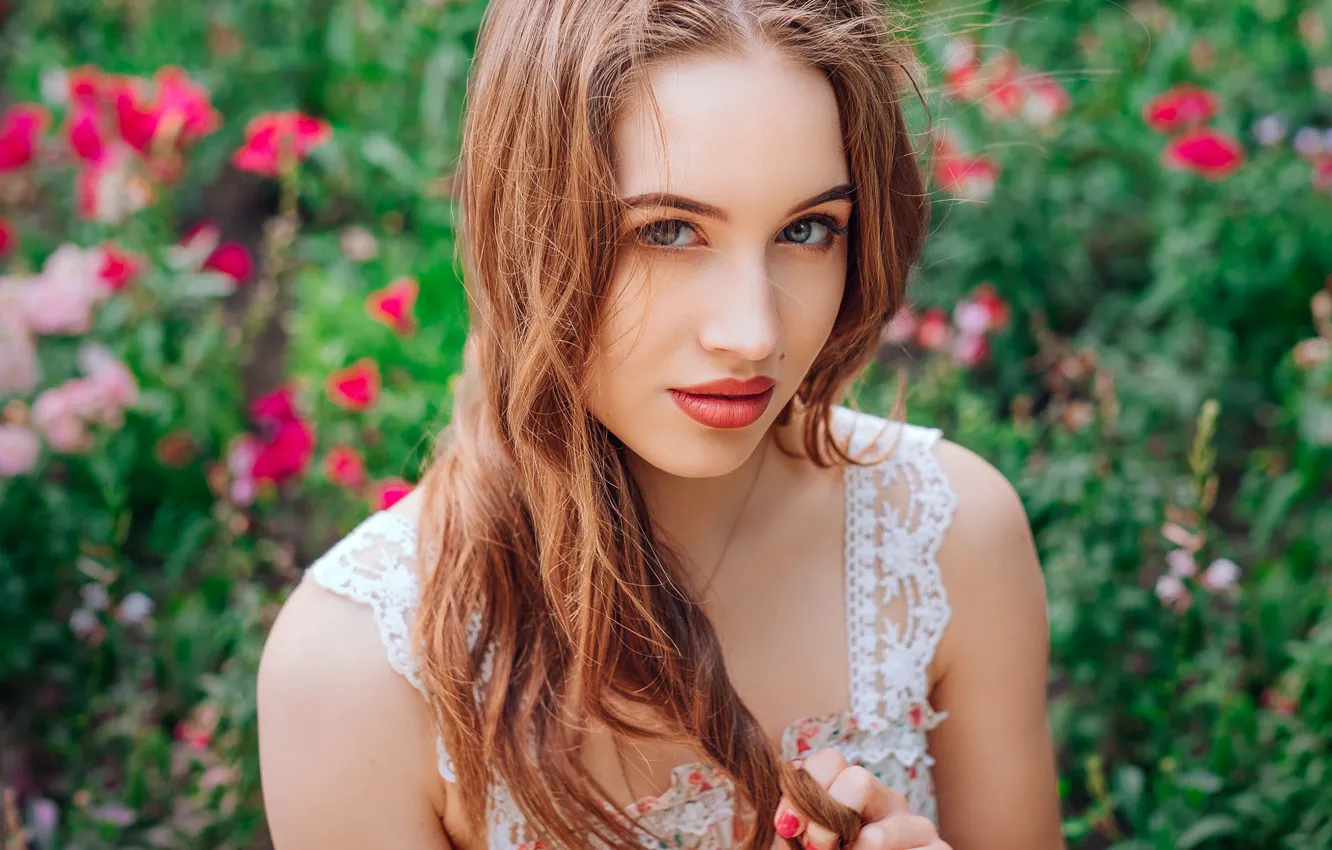 Photo wallpaper mole, sponge, Saul Ke, Gabia