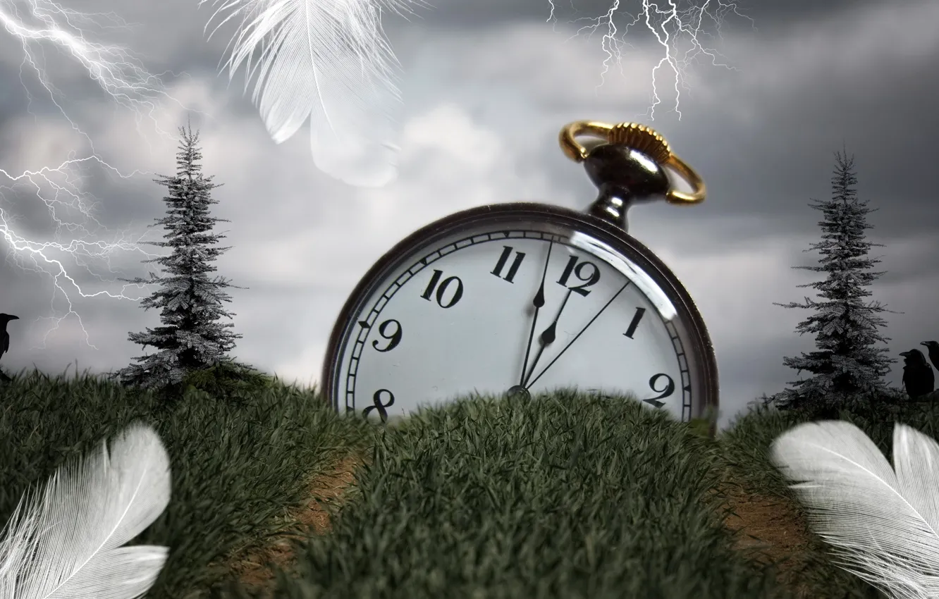 Photo wallpaper grass, time, style, watch, feathers, installation