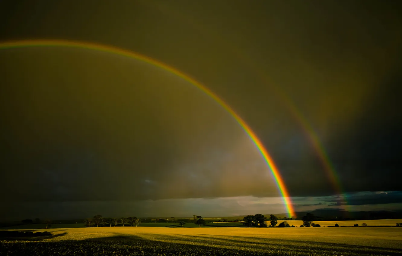 Photo wallpaper field, the sky, rainbow