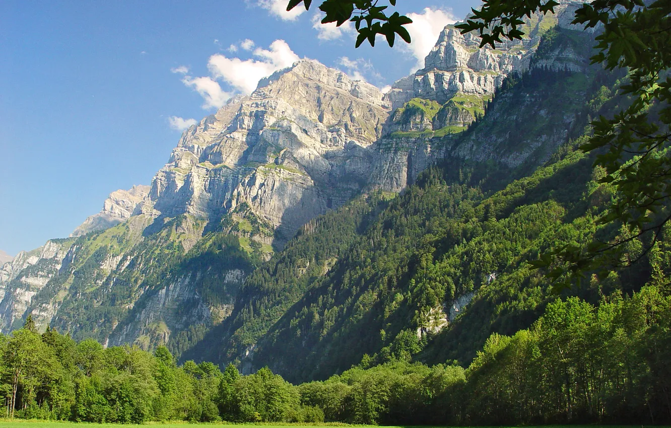 Photo wallpaper forest, the sky, clouds, mountains, meadow