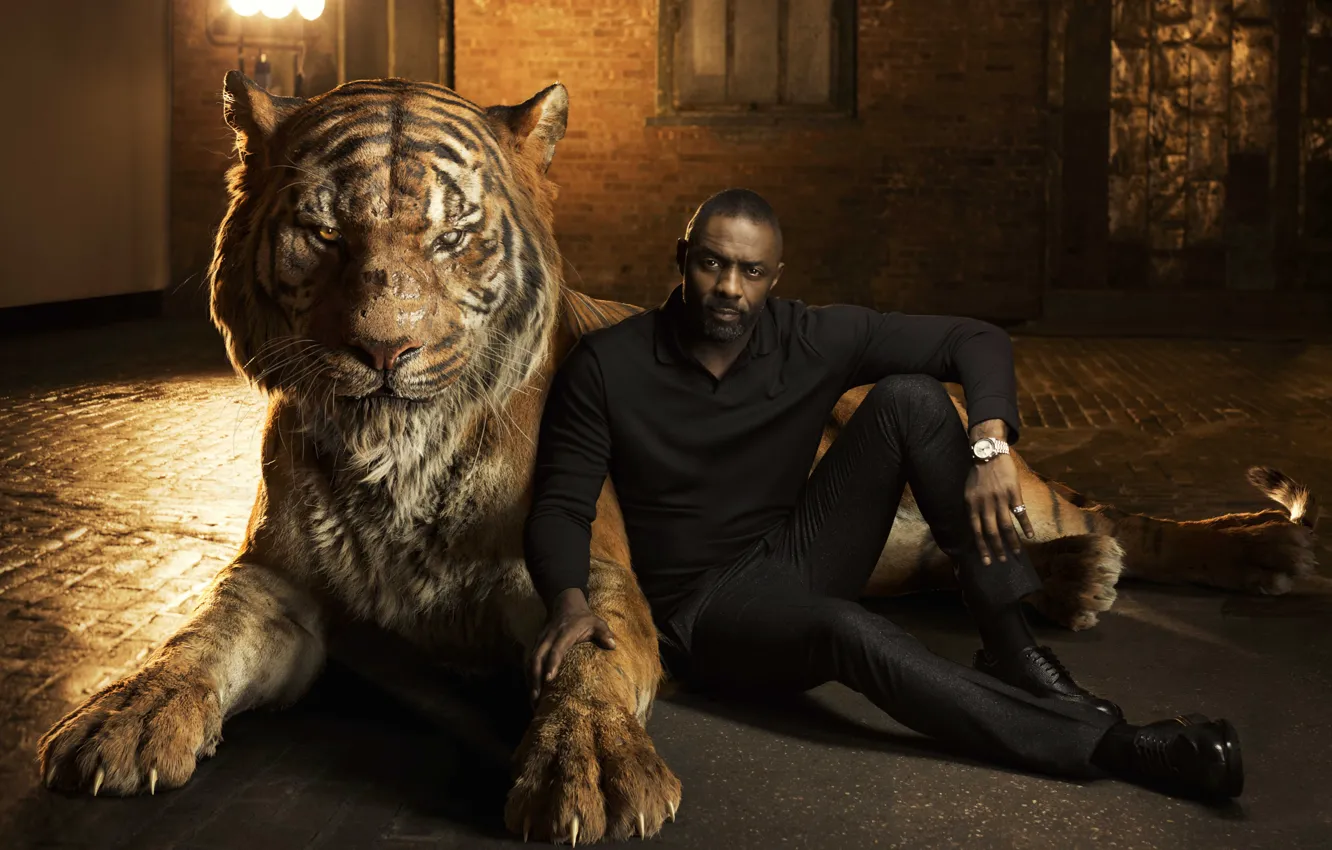 Photo wallpaper tiger, actor, Idris Elba, Idris Elba, The Jungle Book, voice, The jungle book, Shere Khan