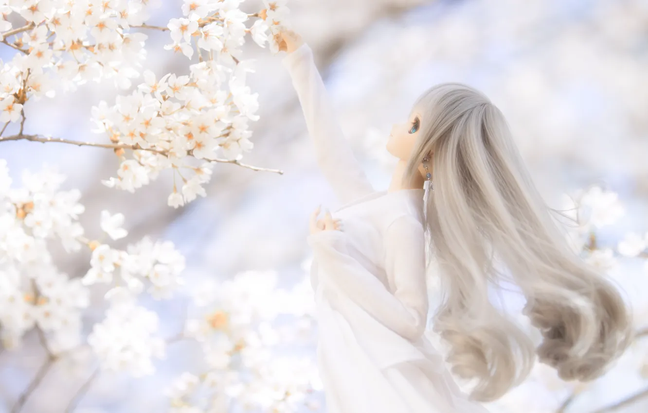 Photo wallpaper hair, spring, doll, Sakura
