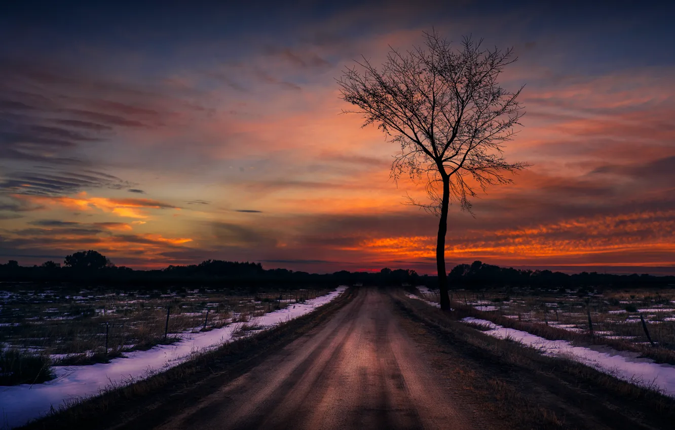 Photo wallpaper road, the sky, tree, the evening
