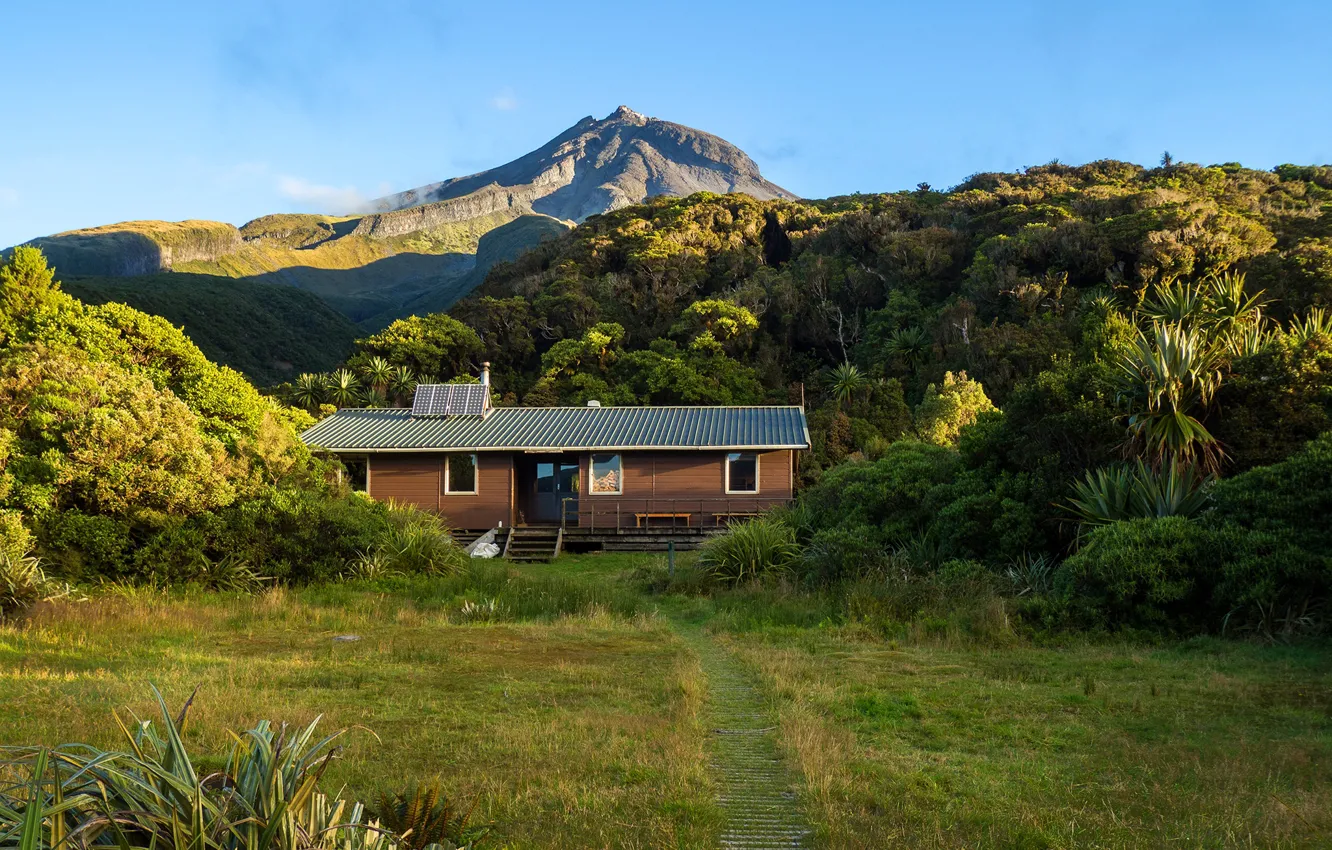 Photo wallpaper greens, the sky, grass, the sun, trees, mountains, the volcano, New Zealand