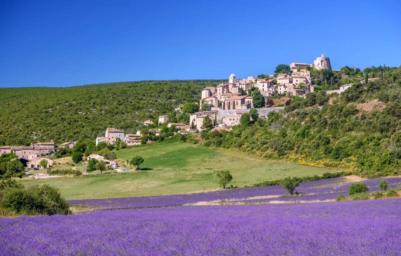 Photo wallpaper field, flowers, France, lavender, Provence, Simian-La-Rotonde