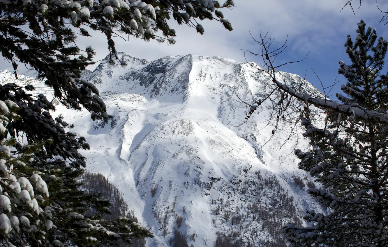 Photo wallpaper snow, trees, mountains