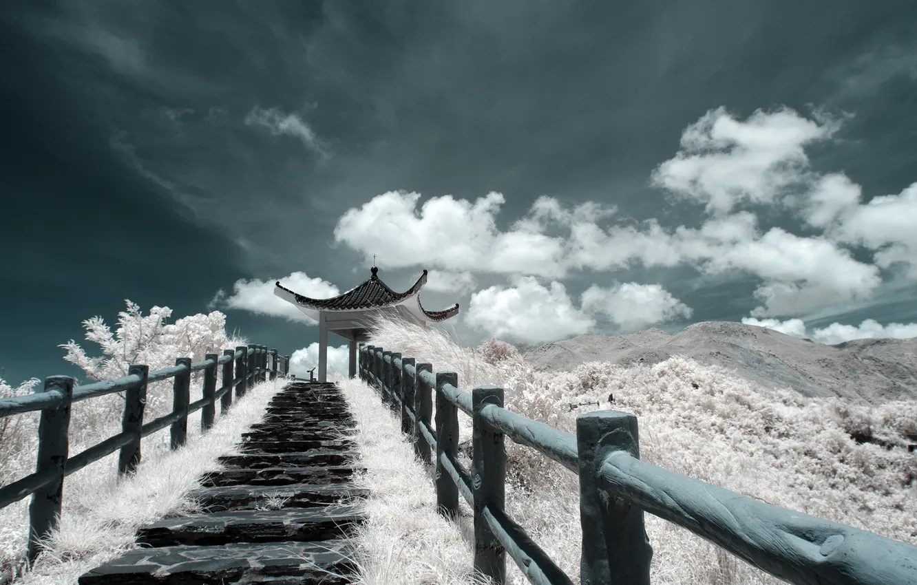 Photo wallpaper the sky, landscape, ladder, watch