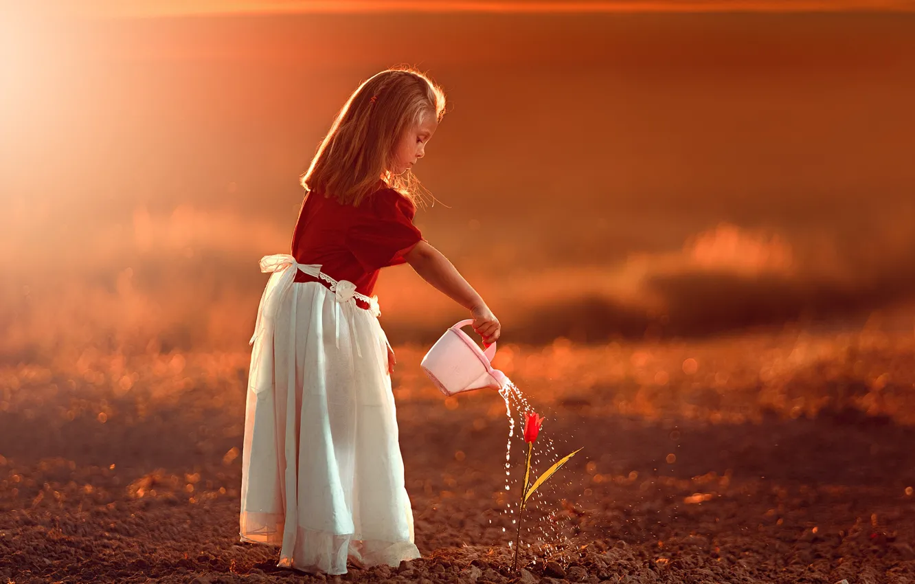 Photo wallpaper flower, sunset, Tulip, girl, lake