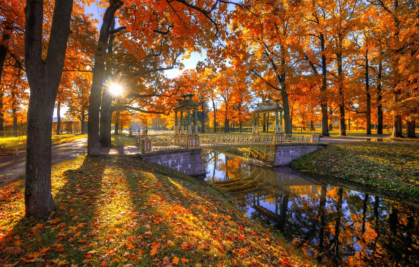 Photo wallpaper autumn, the sun, trees, bridge, Park, foliage, channel, Gordeev Edward
