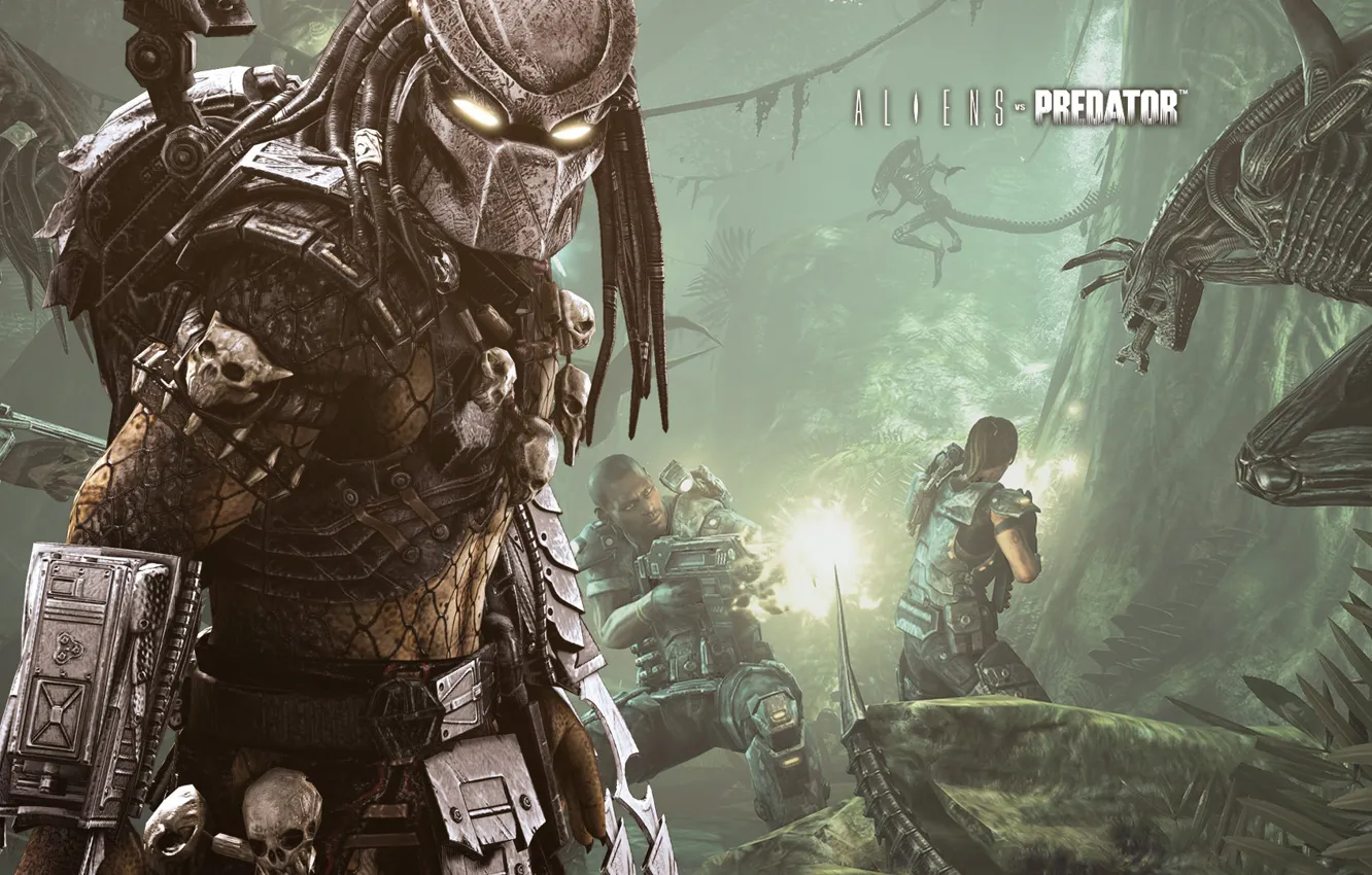 Photo wallpaper game, predator, shootout, military, churaye, Aliens vs Predator