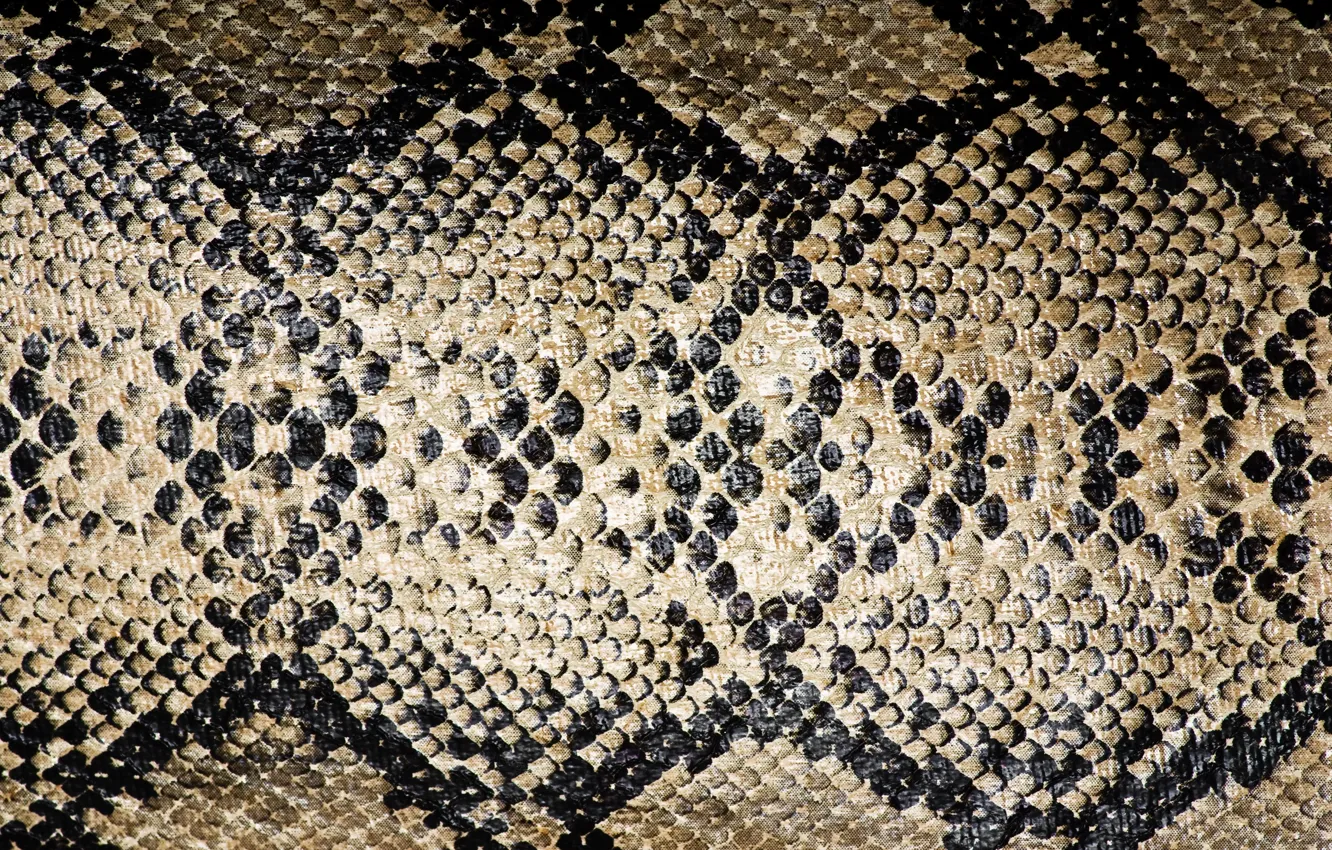 Photo wallpaper leather, color, reptile