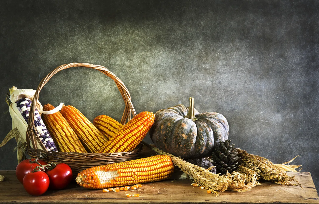 Photo wallpaper corn, pumpkin, still life, tomatoes