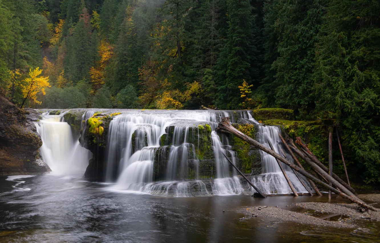 Photo wallpaper autumn, forest, shore, waterfall, ate, log