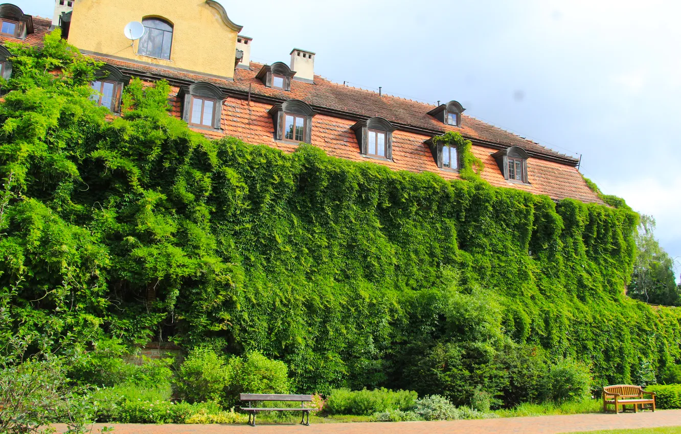 Photo wallpaper house, park, plants